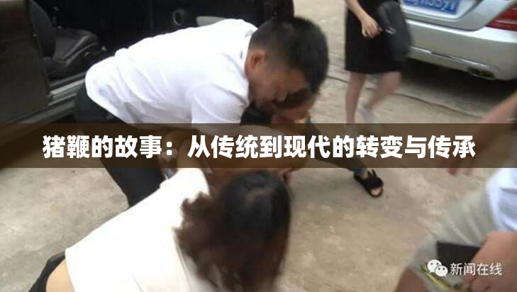 猪鞭的故事：从传统到现代的转变与传承