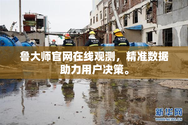 鲁大师官网在线观测，精准数据助力用户决策。