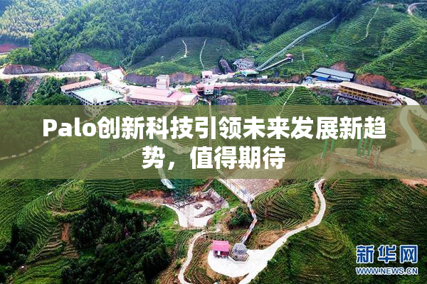 Palo创新科技引领未来发展新趋势，值得期待