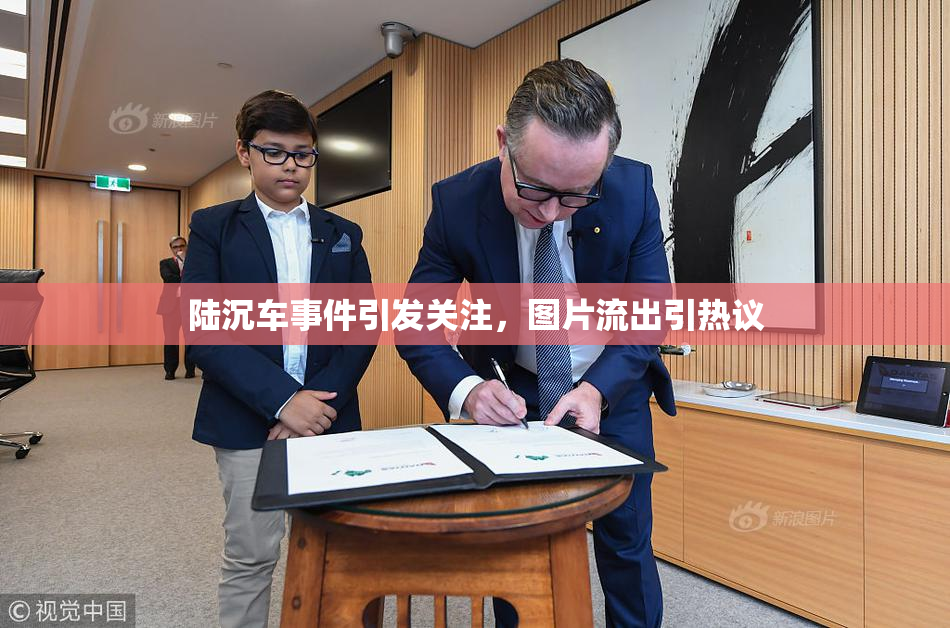 陆沉车事件引发关注，图片流出引热议