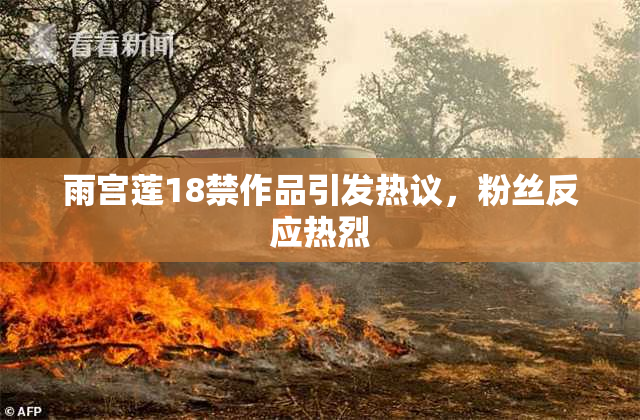 雨宫莲18禁作品引发热议，粉丝反应热烈