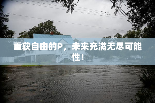 重获自由的P，未来充满无尽可能性！