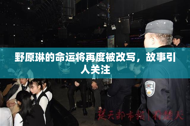 野原琳的命运将再度被改写，故事引人关注