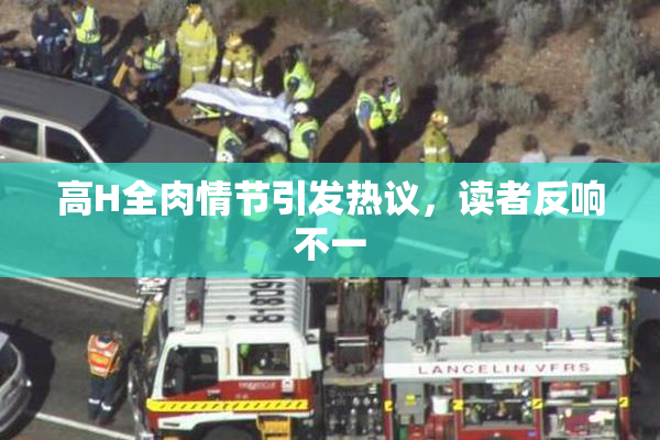 高H全肉情节引发热议，读者反响不一