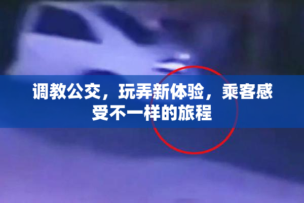 调教公交，玩弄新体验，乘客感受不一样的旅程