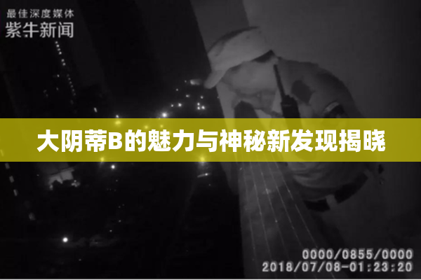 大阴蒂B的魅力与神秘新发现揭晓