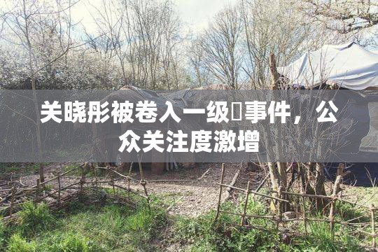 关晓彤被卷入一级婬事件，公众关注度激增