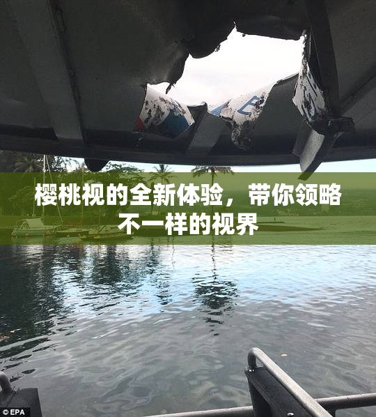 樱桃视的全新体验，带你领略不一样的视界