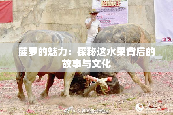 菠萝的魅力：探秘这水果背后的故事与文化