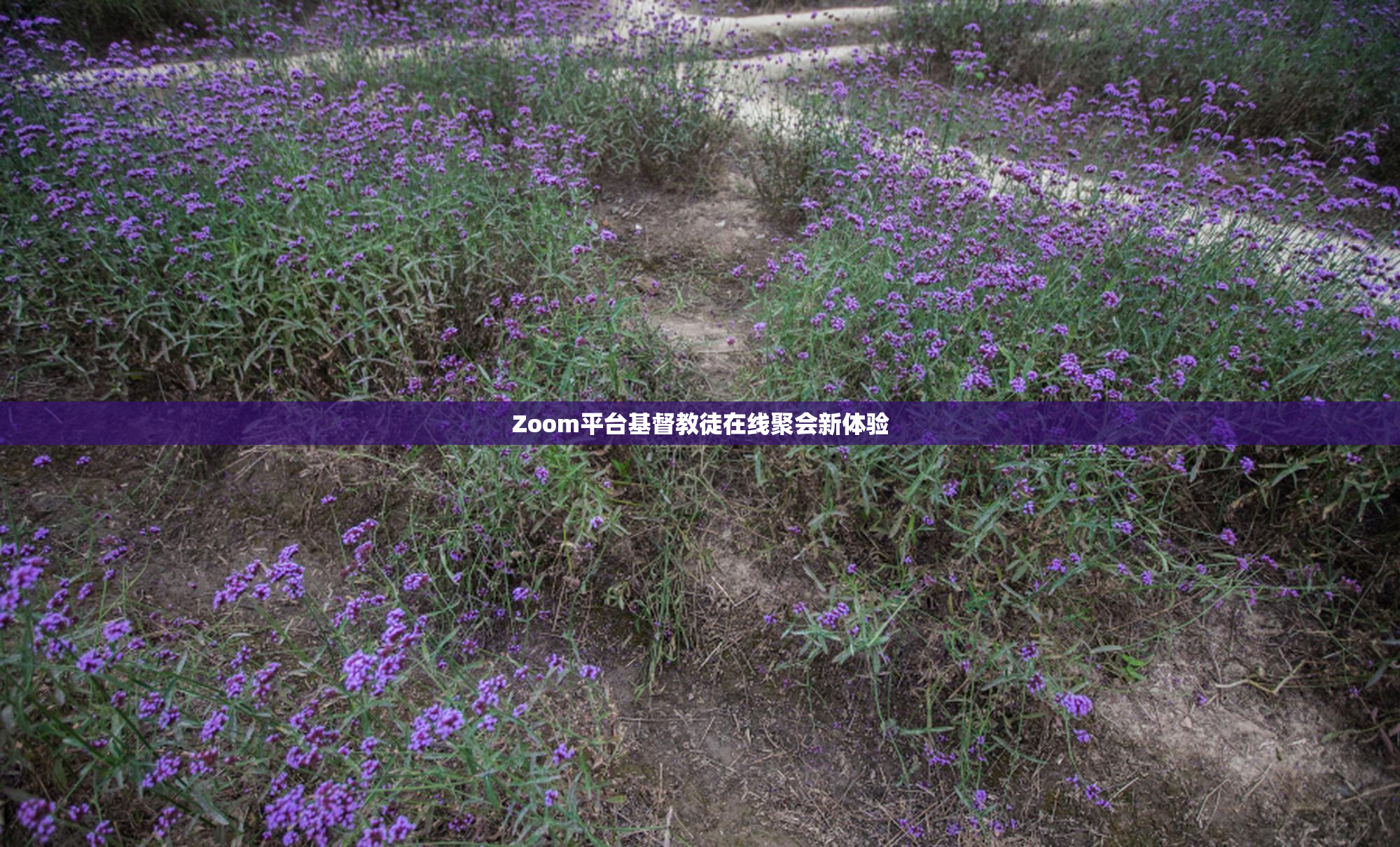 Zoom平台基督教徒在线聚会新体验