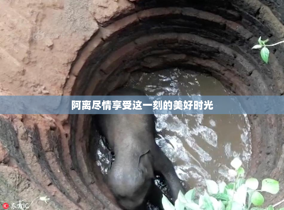 阿离尽情享受这一刻的美好时光
