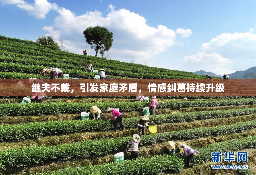 继夫不戴，引发家庭矛盾，情感纠葛持续升级