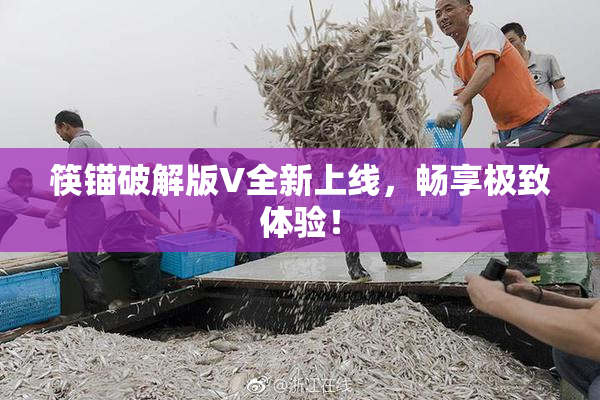 筷锚破解版V全新上线，畅享极致体验！