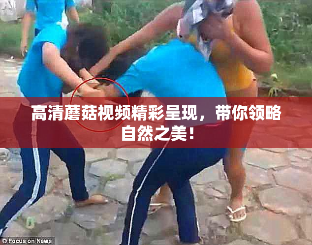 高清蘑菇视频精彩呈现，带你领略自然之美！