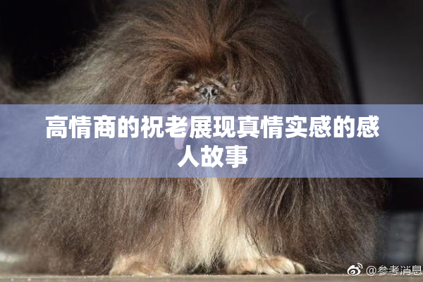 高情商的祝老展现真情实感的感人故事