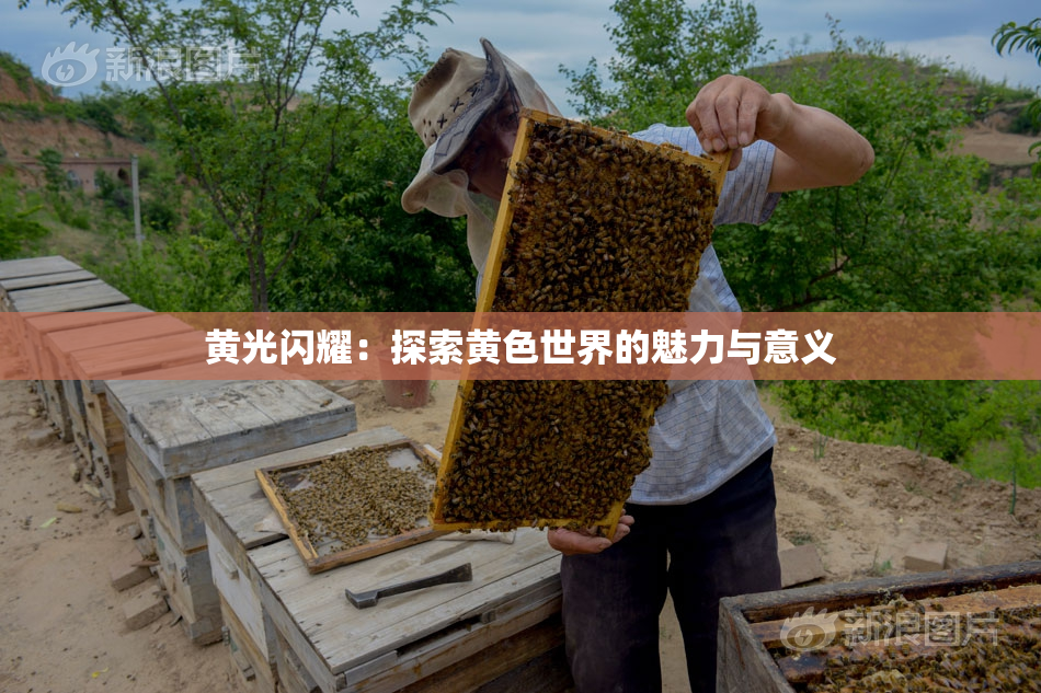 黄光闪耀：探索黄色世界的魅力与意义
