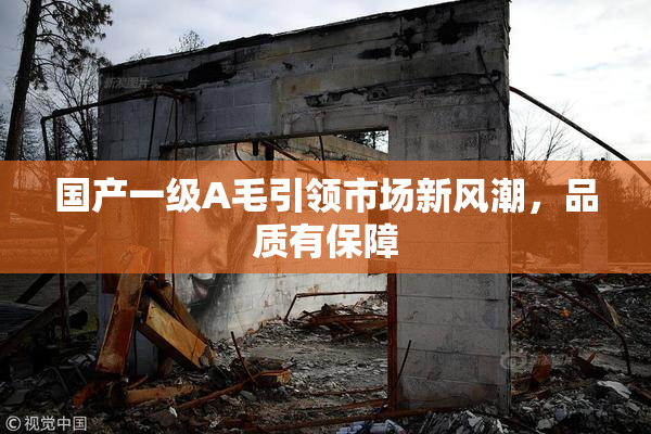 国产一级A毛引领市场新风潮，品质有保障