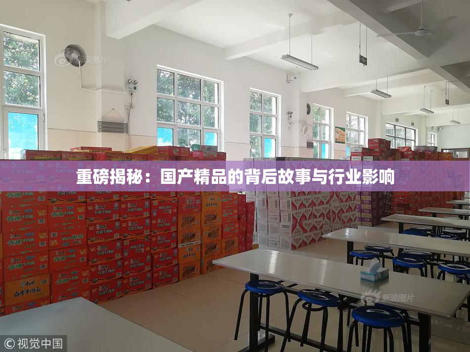 重磅揭秘：国产精品的背后故事与行业影响
