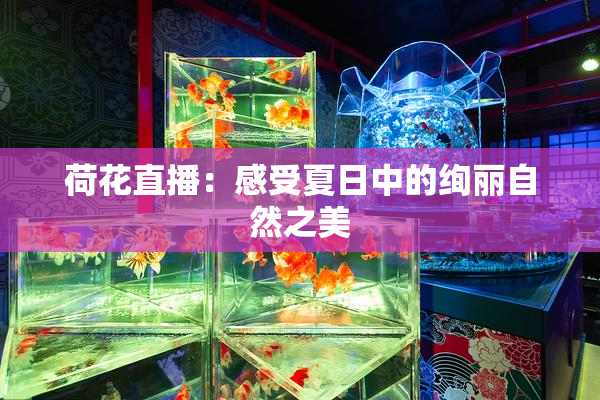 荷花直播：感受夏日中的绚丽自然之美