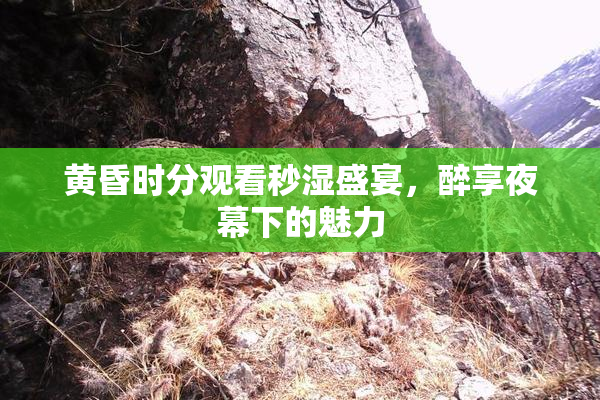 黄昏时分观看秒湿盛宴，醉享夜幕下的魅力