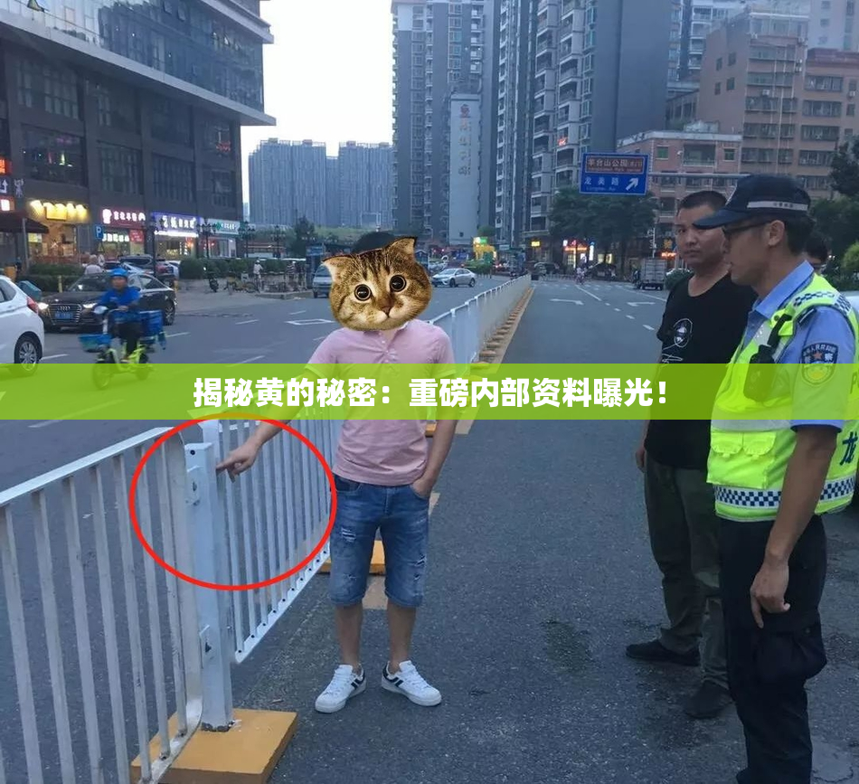 揭秘黄的秘密：重磅内部资料曝光！