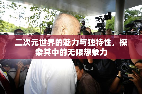 二次元世界的魅力与独特性，探索其中的无限想象力