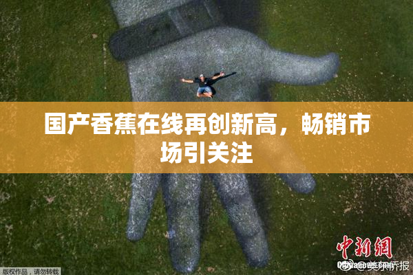 国产香蕉在线再创新高，畅销市场引关注
