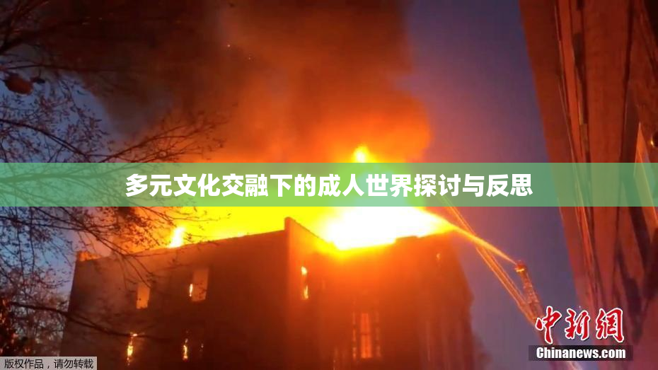 多元文化交融下的成人世界探讨与反思