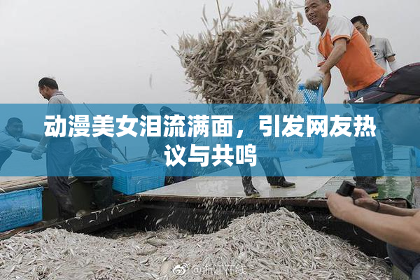 动漫美女泪流满面，引发网友热议与共鸣