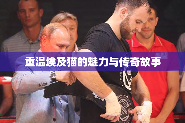 重温埃及猫的魅力与传奇故事