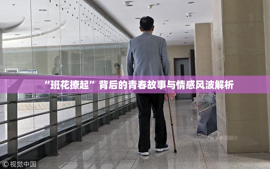 “班花撩起”背后的青春故事与情感风波解析