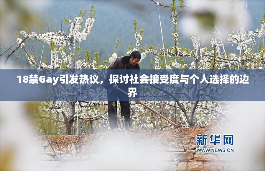 18禁Gay引发热议，探讨社会接受度与个人选择的边界