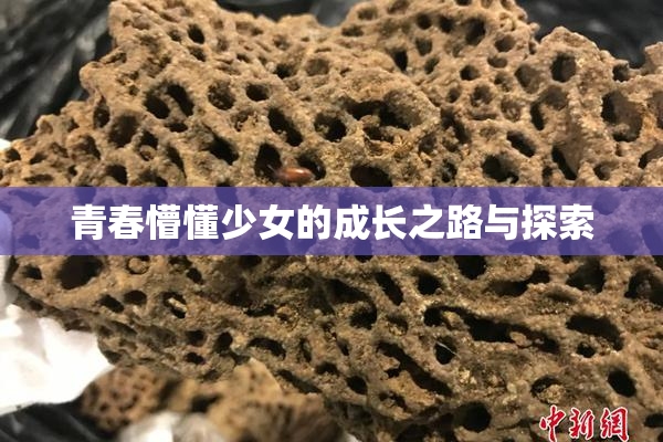 青春懵懂少女的成长之路与探索