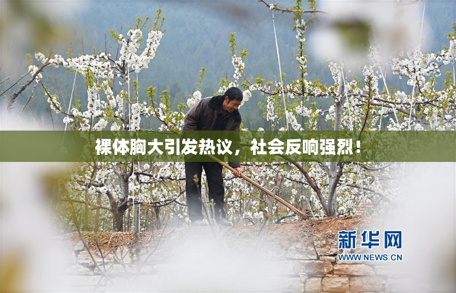 裸体胸大引发热议，社会反响强烈！