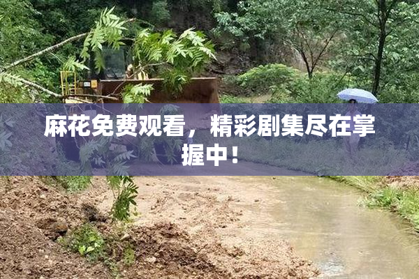 麻花免费观看，精彩剧集尽在掌握中！