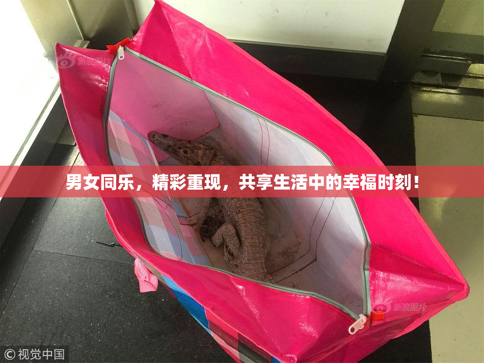 男女同乐，精彩重现，共享生活中的幸福时刻！