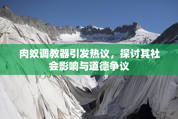 肉奴调教器引发热议，探讨其社会影响与道德争议