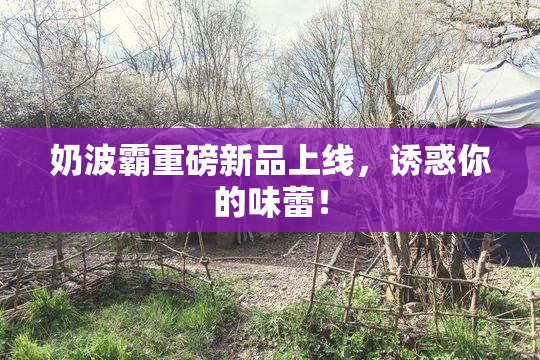 奶波霸重磅新品上线，诱惑你的味蕾！