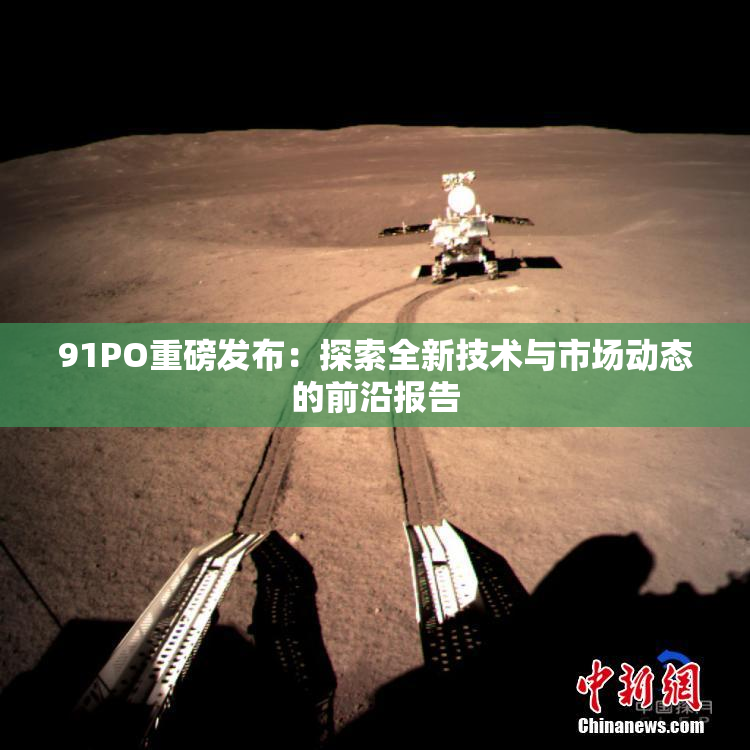 91PO重磅发布：探索全新技术与市场动态的前沿报告