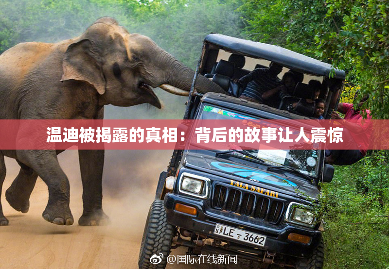 温迪被揭露的真相：背后的故事让人震惊