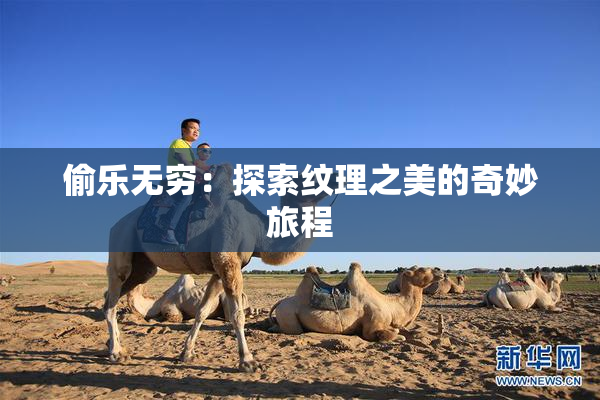 偷乐无穷：探索纹理之美的奇妙旅程