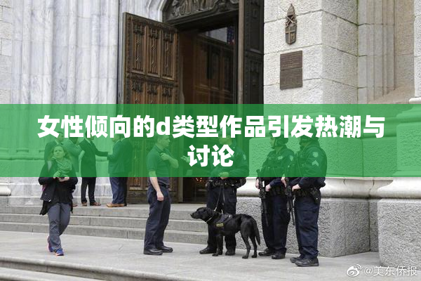 女性倾向的d类型作品引发热潮与讨论