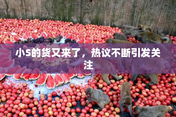 小S的货又来了，热议不断引发关注