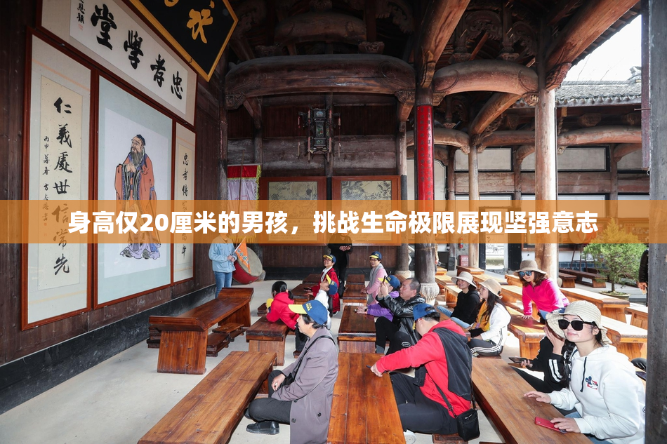 身高仅20厘米的男孩，挑战生命极限展现坚强意志