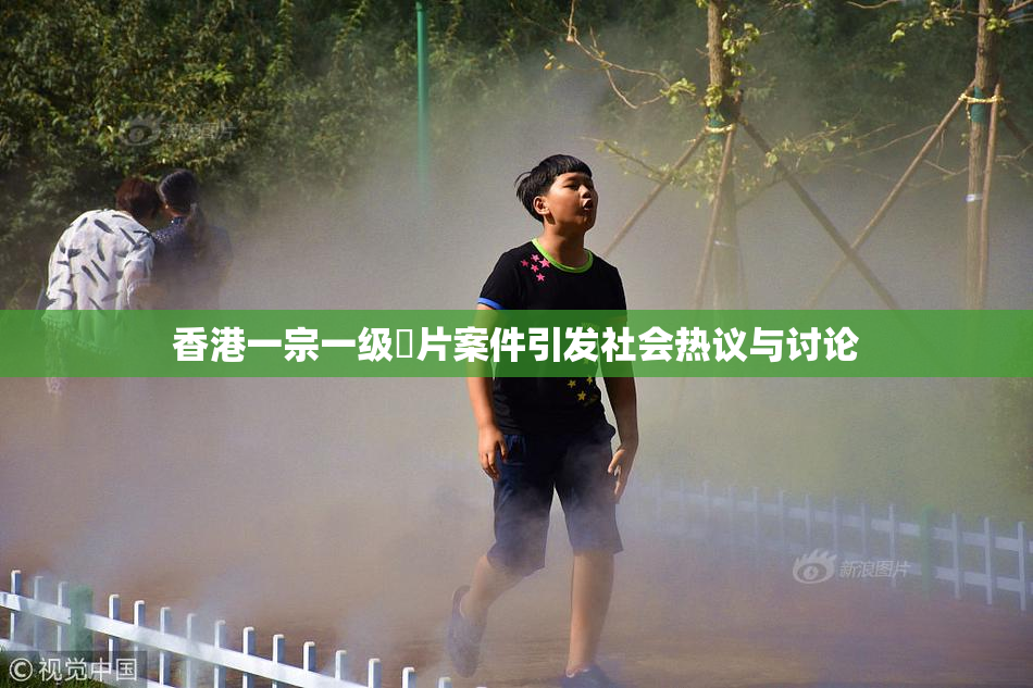 香港一宗一级婬片案件引发社会热议与讨论