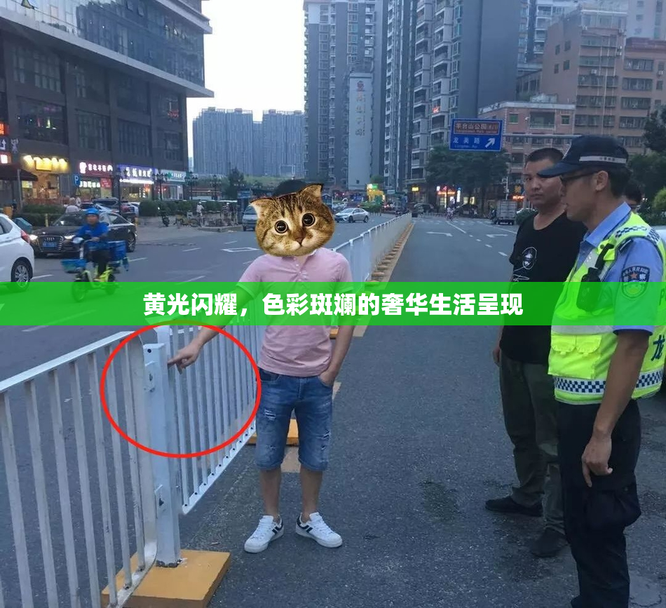 黄光闪耀，色彩斑斓的奢华生活呈现