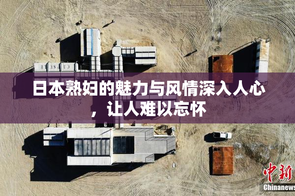 日本熟妇的魅力与风情深入人心，让人难以忘怀
