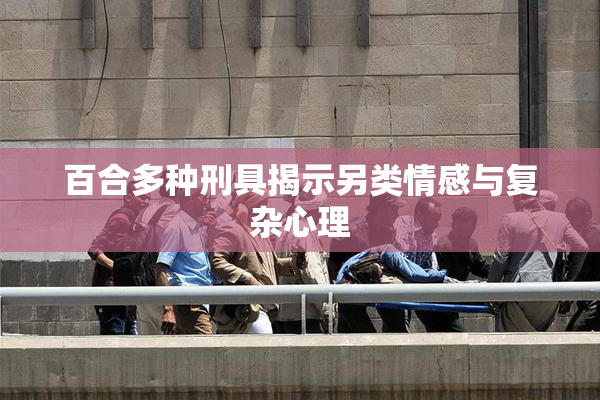 百合多种刑具揭示另类情感与复杂心理