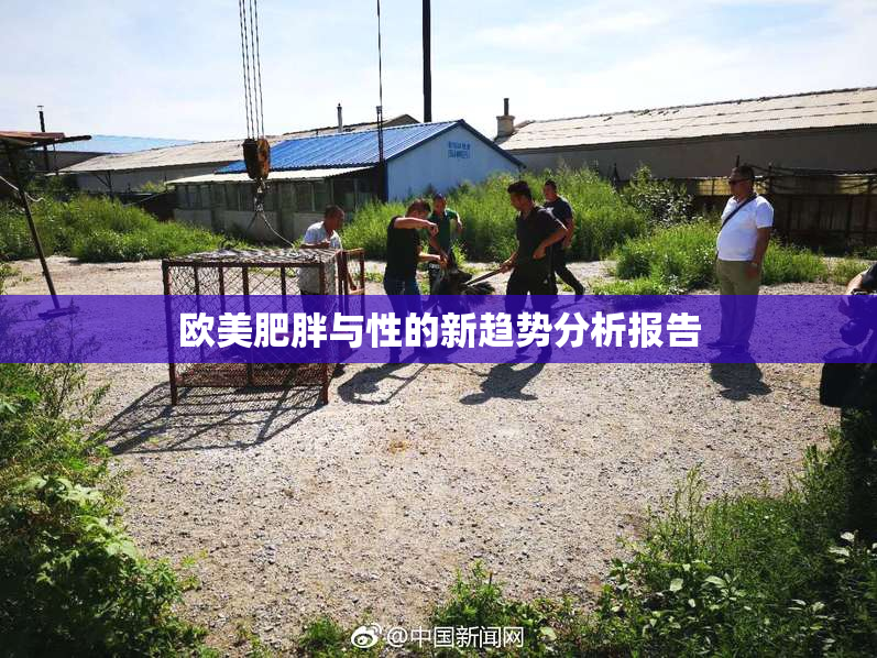 欧美肥胖与性的新趋势分析报告
