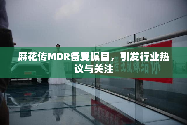 麻花传MDR备受瞩目，引发行业热议与关注
